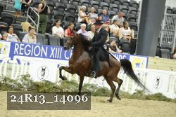24R13_14096 thumbnail
