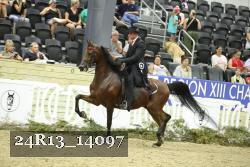 24R13_14097 thumbnail