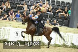 24R13_14098 thumbnail