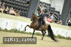 24R13_14099 thumbnail