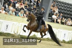 24R13_14100 thumbnail