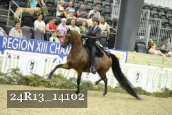 24R13_14102 thumbnail