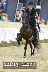 24R13_14103 thumbnail
