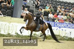 24R13_14105 thumbnail