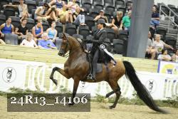 24R13_14106 thumbnail