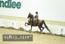 24R13_14107 thumbnail