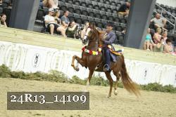 24R13_14109 thumbnail