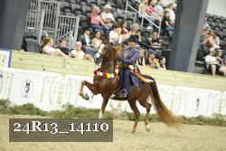 24R13_14110 thumbnail