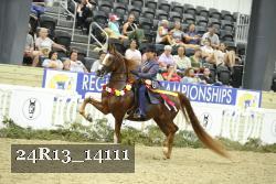24R13_14111 thumbnail