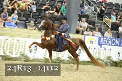 24R13_14112 thumbnail