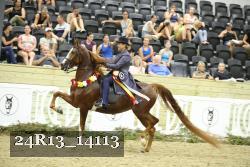 24R13_14113 thumbnail