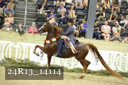 24R13_14114 thumbnail