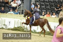 24R13_14115 thumbnail