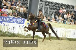 24R13_14119 thumbnail