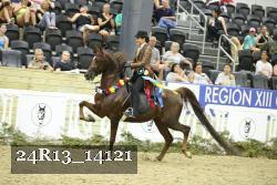24R13_14121 thumbnail