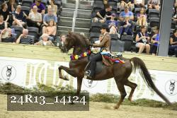 24R13_14124 thumbnail