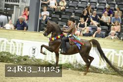 24R13_14125 thumbnail