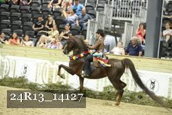 24R13_14127 thumbnail