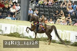 24R13_14128 thumbnail