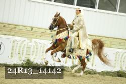 24R13_14142 thumbnail