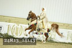 24R13_14143 thumbnail