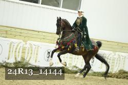 24R13_14144 thumbnail
