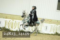 24R13_14149 thumbnail
