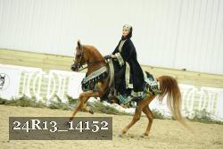 24R13_14152 thumbnail