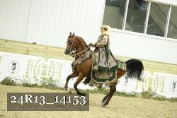 24R13_14153 thumbnail