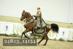 24R13_14154 thumbnail