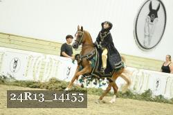 24R13_14155 thumbnail