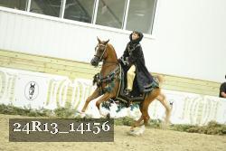 24R13_14156 thumbnail