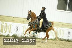 24R13_14157 thumbnail