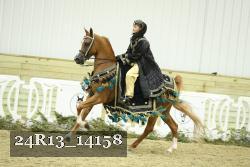 24R13_14158 thumbnail