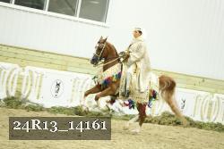 24R13_14161 thumbnail