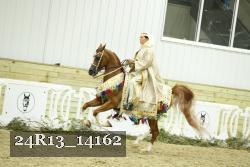 24R13_14162 thumbnail