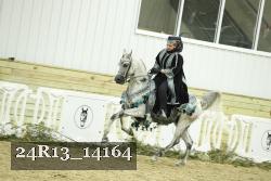24R13_14164 thumbnail