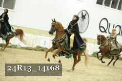 24R13_14168 thumbnail