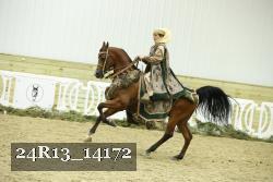 24R13_14172 thumbnail