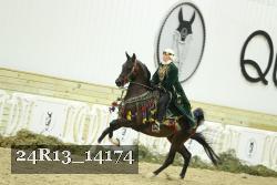 24R13_14174 thumbnail