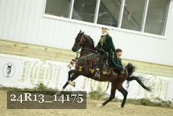 24R13_14175 thumbnail