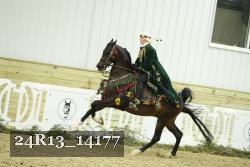 24R13_14177 thumbnail