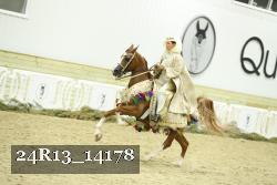 24R13_14178 thumbnail