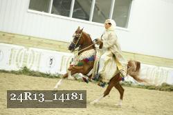 24R13_14181 thumbnail