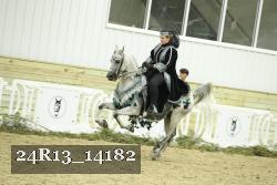 24R13_14182 thumbnail