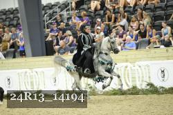 24R13_14194 thumbnail