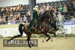 24R13_14195 thumbnail