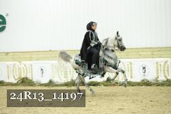 24R13_14197 thumbnail