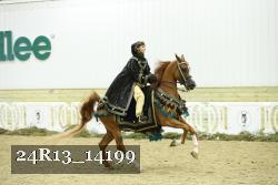 24R13_14199 thumbnail