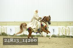 24R13_14200 thumbnail